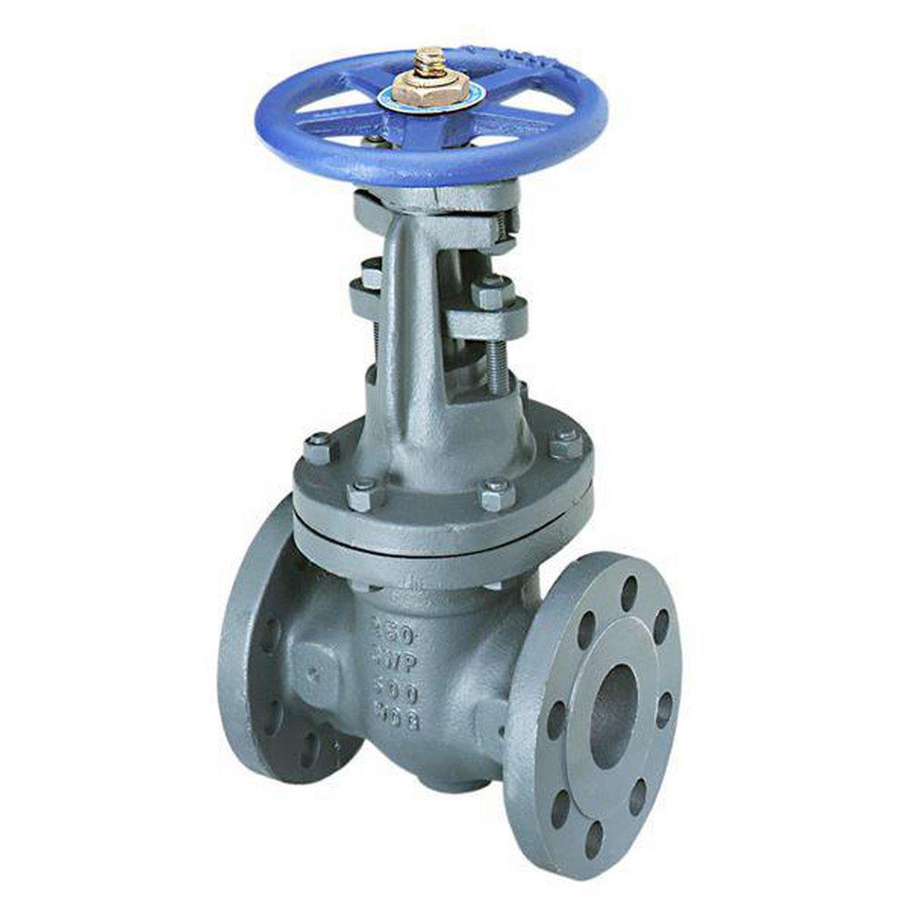 NIBCO Cast Iron Full Port Flanged Gate Valve 