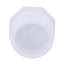 White PVC Schedule 40 MPT Plug 