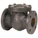 4 in. Cast Iron Flanged Check Valve