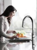 Delta Faucet Chrome Single Handle Pull Down Kitchen Faucet 