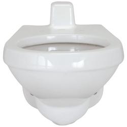 Elongated Toilet Bowl in White