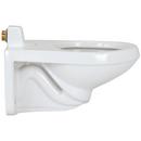 Zurn White Elongated Wall Mount Toilet Bowl 