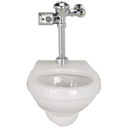 Wall Mount Elongated Toilet