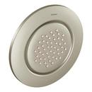 Moen Brushed Nickel Single Function Body Spray 