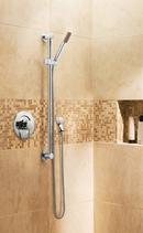 Moen Brushed Nickel Single Function Hand Shower 