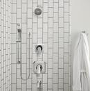 Moen Chrome Single Function Hand Shower 