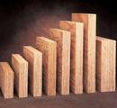 Pacific Woodtech Corporation 9-1/2 in. Lumber 