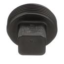 Black ABS DWV Cleanout Plug 