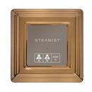 Wi-Fi Enabled Steam Bath Control in Brushed Bronze