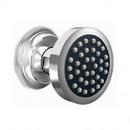 Newport Brass Polished Nickel - Natural Single Function Body Spray 