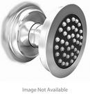 Newport Brass Oil Rubbed Bronze Single Function Body Spray 