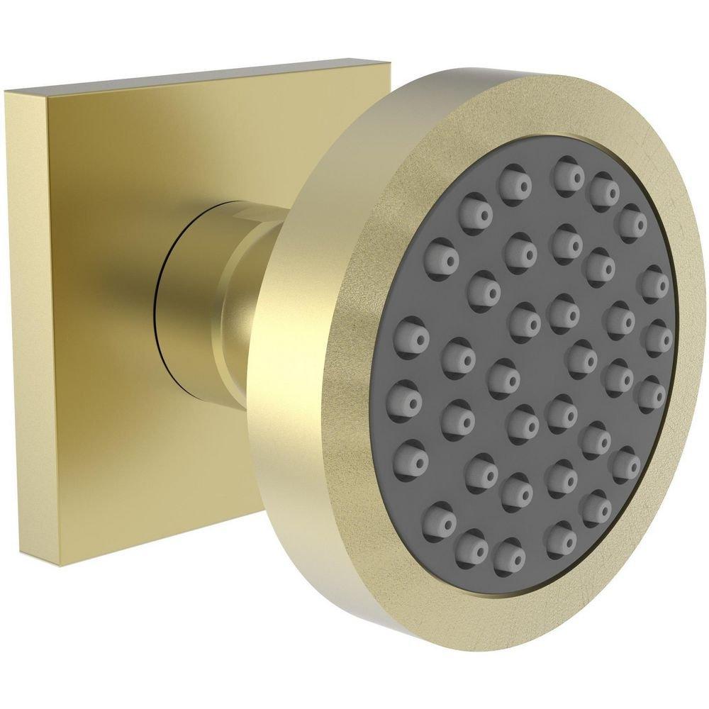 Newport Brass Satin Brass - PVD Single Function Body Spray 