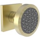 Newport Brass Satin Brass - PVD Single Function Body Spray 