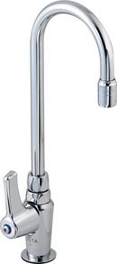 1-Hole Faucet with Single Lever Handle and 9-16/25 in. Spout Height in Polished Chrome
