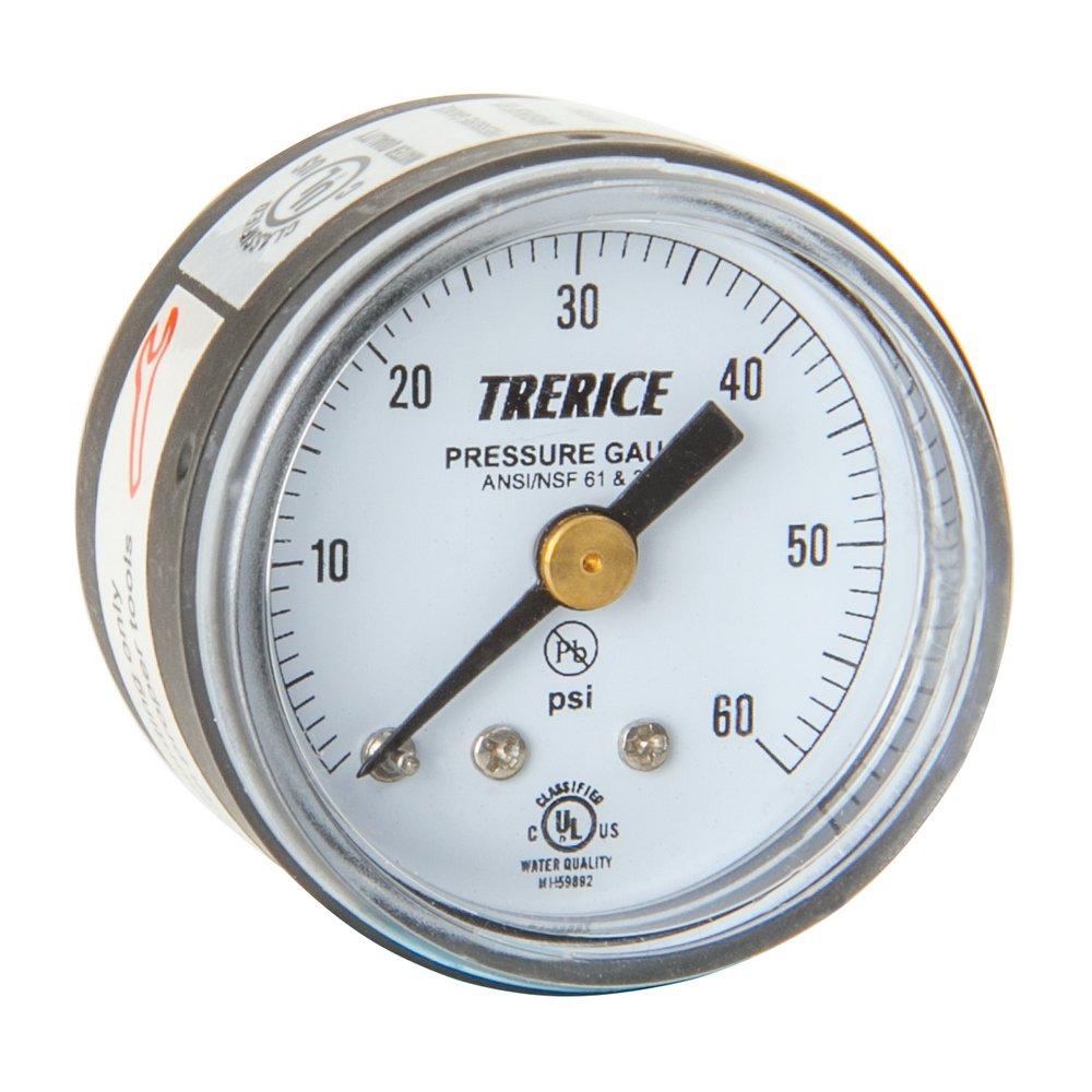 H.O. Trerice Black 1-1/2 x 1/8 in. Gauge Pressure Center Back Mount 