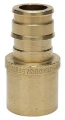 Sioux Chief Brass PEX Expansion x Female Sweat Adapter 