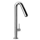 1-Hole Kitchen Faucet with Single Lever Handle and Angled Spout in Polished Chrome