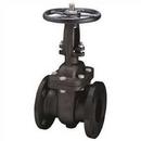 Neway Valve Carbon Steel Flanged Gate Valve 