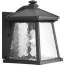 12 in. 100W 1-Light Outdoor Wall Lantern in Black