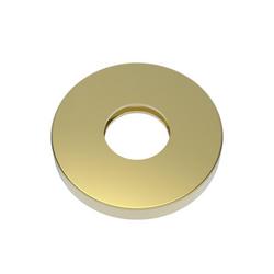 Shower Arm Flange with O-Ring in Uncoated Polished Brass - Living