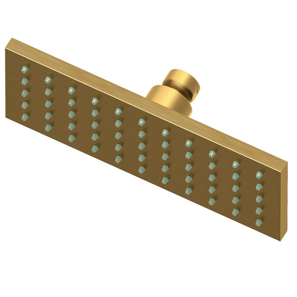 Newport Brass Satin Bronze - PVD Single Function Rainfall Showerhead 