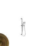 Newport Brass Antique Brass Multi Function Hand Shower 