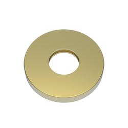 Shower Arm Flange with O-Ring in Satin Brass - PVD