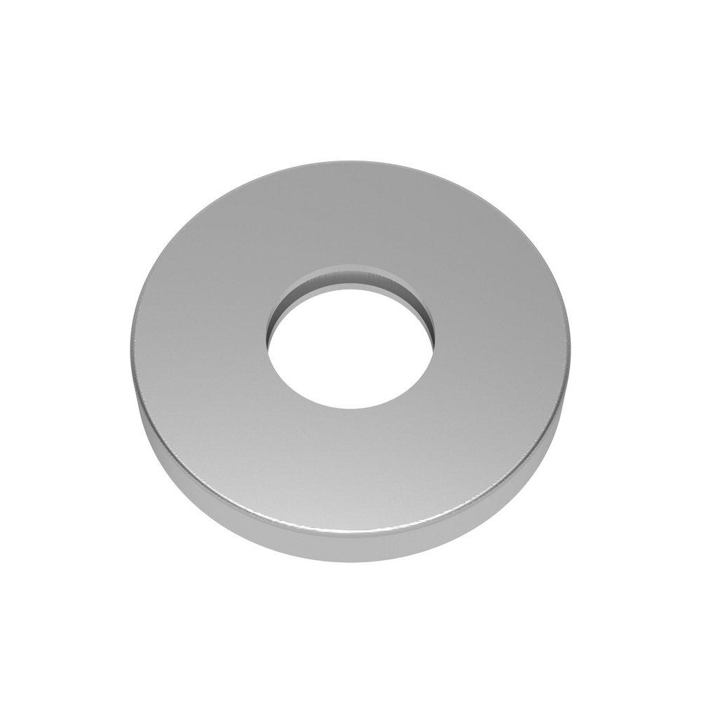 Newport Brass Stainless Steel - PVD Brass Shower Flange 