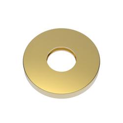 Brass Shower Flange in Polished Gold - PVD
