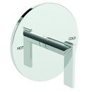 Newport Brass Polished Chrome Single Handle Bathtub & Shower Faucet (Trim Only) 