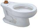 Zurn White Elongated Toilet Bowl 