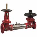 6 in. Bronze, Plastic, Rubber, Silicone and Stainless Steel Flanged Backflow Preventer