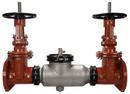 Zurn Wilkins Polished Stainless Steel Ductile Iron Flanged 350 psi Backflow Preventer 