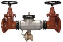2-1/2 in Stainless Steel Flanged Reduced Pressure Zone Assembly