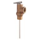 3/4 in. Brass MNPT x FNPT 75# Relief Valve
