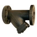Mueller Steam Specialty Wye Cast Iron Flanged Valve Strainer 