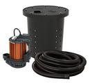 1/3 HP 115V Cast Iron Crawl Space Sump Pump Kit