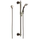 Brizo Cocoa Bronze/Polished Nickel Single Function Hand Shower 