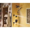 Delta Faucet Venetian Bronze Single Function Body Spray 