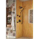 Delta Faucet Venetian Bronze Single Function Body Spray 