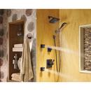 Delta Faucet Venetian Bronze Single Function Body Spray 