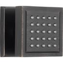 Delta Faucet Venetian Bronze Single Function Body Spray 
