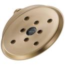 Single Function H2Okinetic® Showerhead in Champagne Bronze