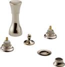 Brizo Polished Nickel 4 Hole BIDET With Vacuum Breaker *CHARLO Polished Nickel 