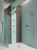 Brizo Cocoa Bronze/Polished Nickel 2 gpm Shower Faucet with Double Lever Handle (Trim Only) 