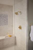 Delta Faucet Brilliance Champagne Bronze Single Handle Multi Function Shower Faucet (Trim Only) 