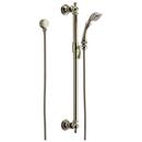 Brizo Polished Nickel Single Function Hand Shower 