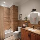 Brizo Cocoa Bronze/Polished Nickel Wall Mount Toilet Tissue Holder 