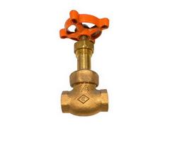 1/2 in. Bronze Screwed Globe Valve