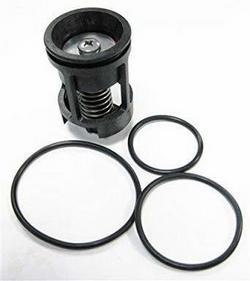 1 in. Cap, O-ring and Second Check Kit